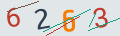 verifycode